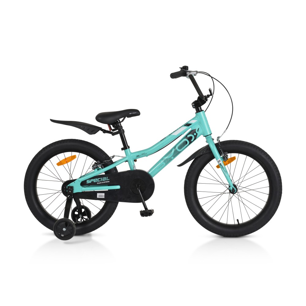Byox Παιδικό Ποδήλατο Special 24 Mint 3800146202934