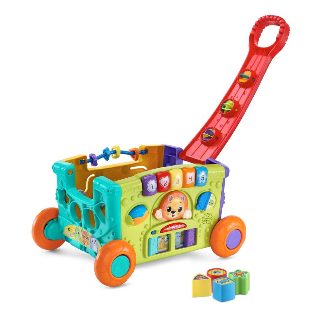 Moni Toys Active Push Toy RJ6829 Παιχνίδι Ώθησης 3801005603015 – Περπατούρα Δραστηριοτήτων για Πρώτα Βήματα